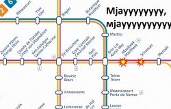 МЈАУУУУУУУУУУУ... Мац, мац мац... мјаууууууууу