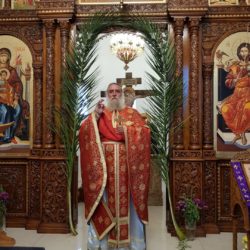 Зошто ние, служителите на Евангелието на Зборот Божји, се доведовме до крајно молчание, неразумност, скаменетост