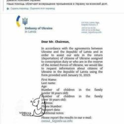 Писмо до Тимчо и Мите Лимунада